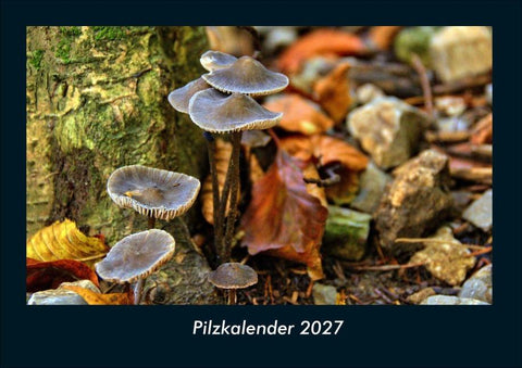 Pilzkalender 2027 Fotokalender DIN A4