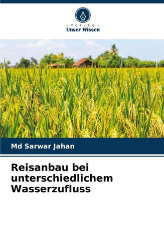 Reisanbau bei unterschiedlichem Wasserzufluss