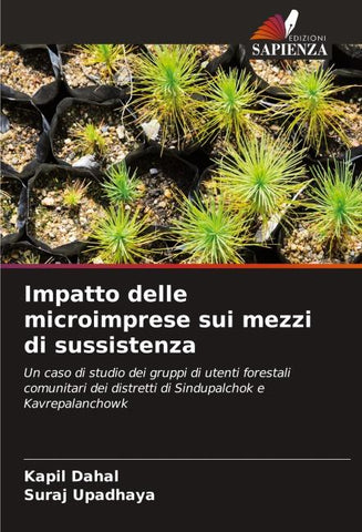 Impatto delle microimprese sui mezzi di sussistenza