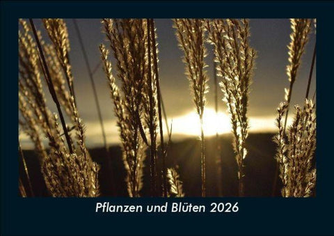Pflanzen und Blüten 2026 Fotokalender DIN A5