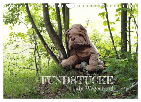 FUNDSTÜCKE am Wegesrand (Wandkalender 2026 DIN A4 quer), CALVENDO Monatskalender