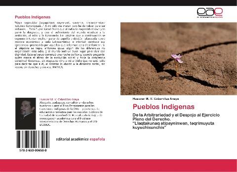 Pueblos Indígenas