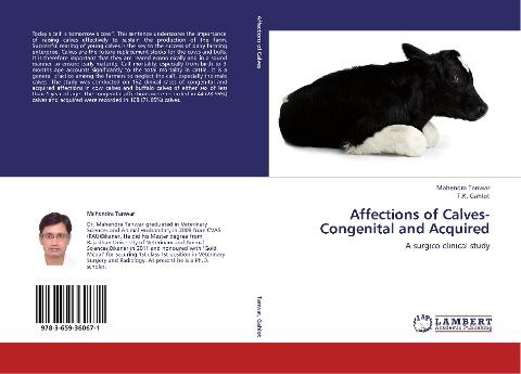 Affections of Calves-Congenital and Acquired
