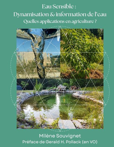 L'eau sensible : Dynamisation et information de l'eau