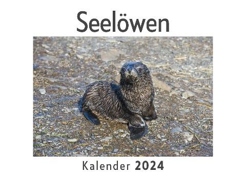 Seelöwen (Wandkalender 2024, Kalender DIN A4 quer, Monatskalender im Querformat mit Kalendarium, Das perfekte Geschenk)