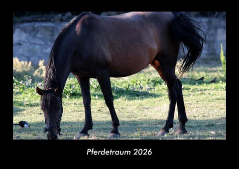 Pferdetraum 2026 Fotokalender DIN A3