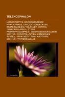 Telencephalon