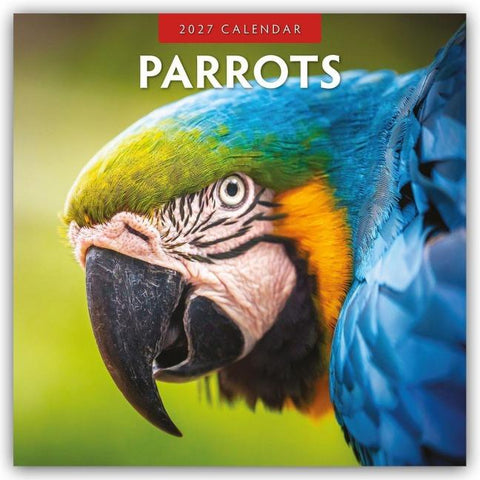 Parrots – Papageien 2027 – 16-Monatskalender