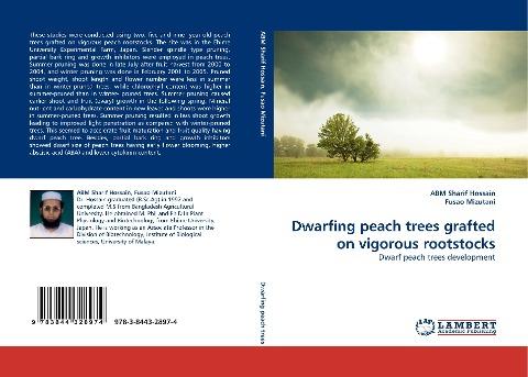 Dwarfing peach trees grafted on vigorous rootstocks