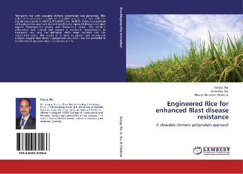 Engineered Rice for enhanced Blast disease resistance
