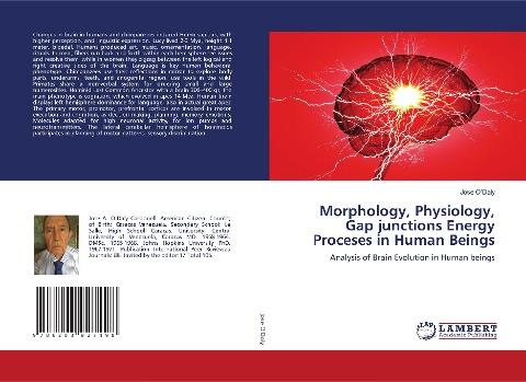Morphology, Physiology, Gap junctions Energy Proceses in Human Beings