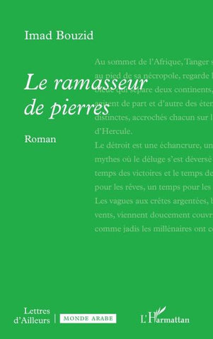 Le ramasseur de pierres