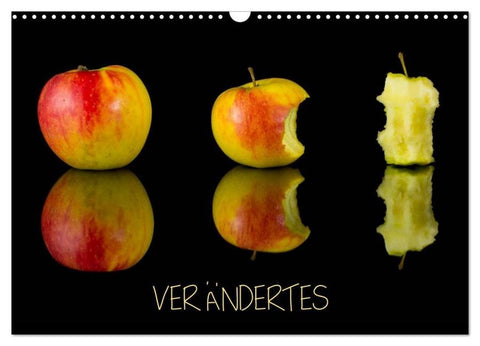 Verändertes (Wandkalender 2026 DIN A3 quer), CALVENDO Monatskalender