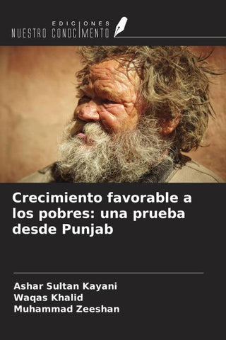 Crecimiento favorable a los pobres: una prueba desde Punjab