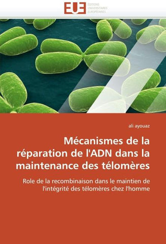 Mécanismes de la réparation de l''ADN dans la maintenance des télomères