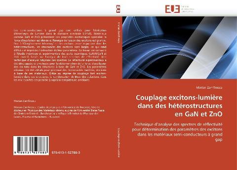 Couplage excitons-lumière dans des hétérostructures en GaN et ZnO