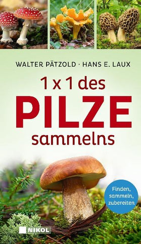 1 x 1 des Pilzesammelns