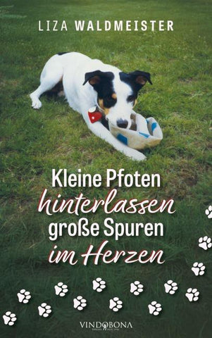 Kleine Pfoten hinterlassen große Spuren im Herzen