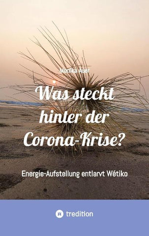 Was steckt hinter der Corona-Krise?