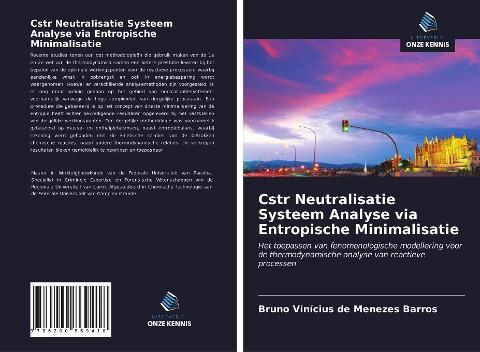 Cstr Neutralisatie Systeem Analyse via Entropische Minimalisatie