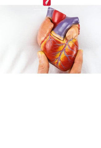 Pós-operatório de cirurgia cardíaca aberta