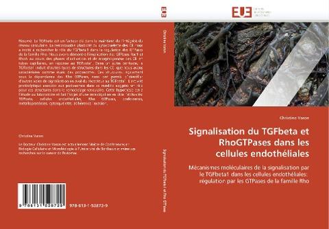 Signalisation du TGFbeta et RhoGTPases dans les cellules endothéliales