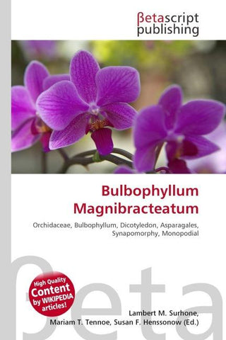 Bulbophyllum Magnibracteatum