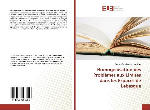 Homogenisation des Problèmes aux Limites dans les Espaces de Lebesgue