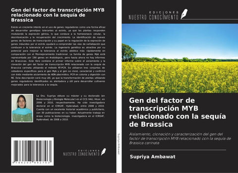 Gen del factor de transcripción MYB relacionado con la sequía de Brassica