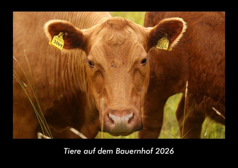 Tiere auf dem Bauernhof 2026 Fotokalender DIN A3