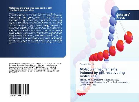 Molecular mechanisms induced by p53 reactivating molecules