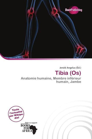 Tibia (Os)
