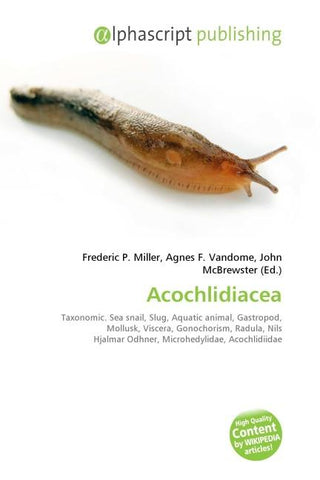 Acochlidiacea