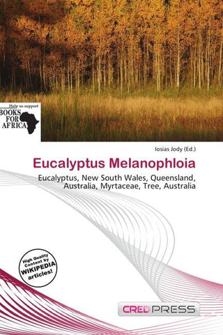 Eucalyptus Melanophloia