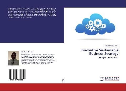 Innovative Sustainable Business Strategy