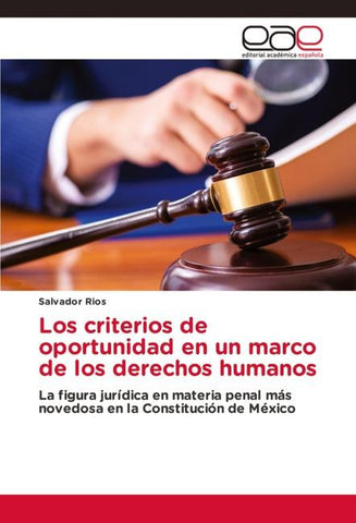 Los criterios de oportunidad en un marco de los derechos humanos