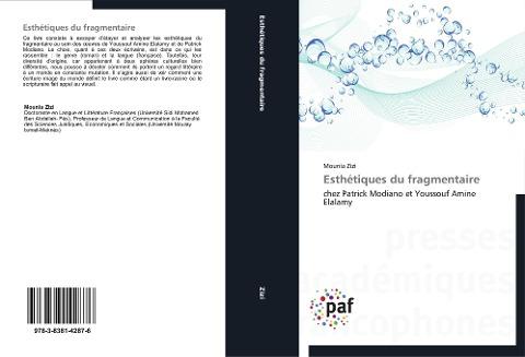 Esthétiques du fragmentaire