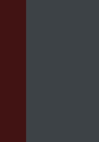 Aktiengesetz / §§ 221-240