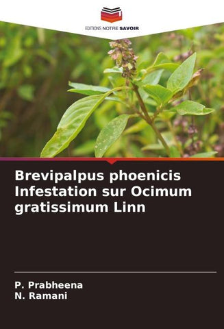 Brevipalpus phoenicis Infestation sur Ocimum gratissimum Linn