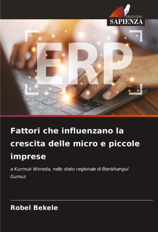 Fattori che influenzano la crescita delle micro e piccole imprese