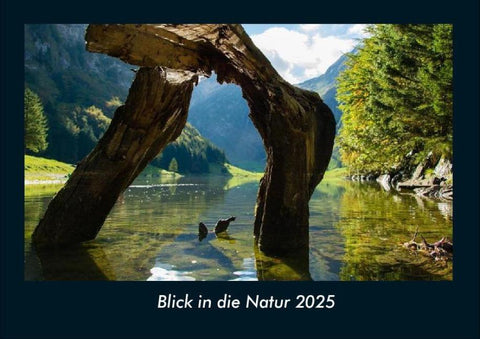 Blick in die Natur 2025 Fotokalender DIN A4