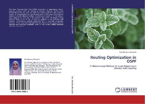 Routing Optimization in OSPF