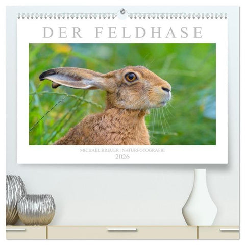 Der Feldhase (hochwertiger Premium Wandkalender 2026 DIN A2 quer), Kunstdruck in Hochglanz