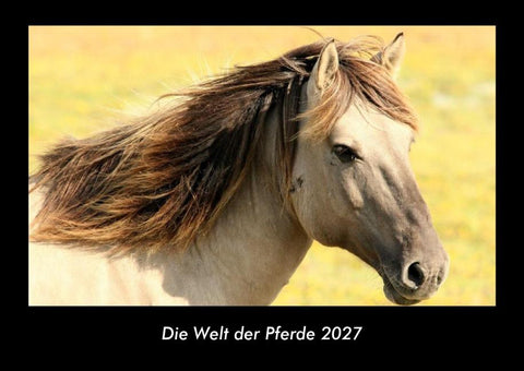 Die Welt der Pferde 2027 Fotokalender DIN A3