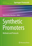 Synthetic Promoters