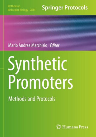 Synthetic Promoters