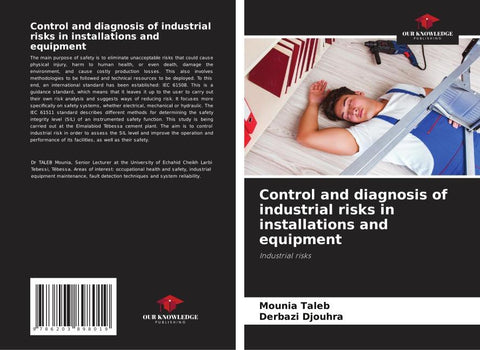 Control and diagnosis of industrial risks in installations and equipment