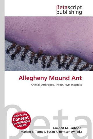 Allegheny Mound Ant