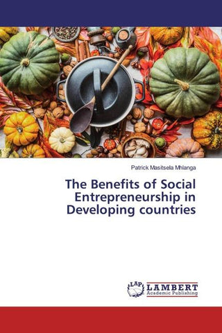 The Benefits of Social Entrepreneurship in Developing countries