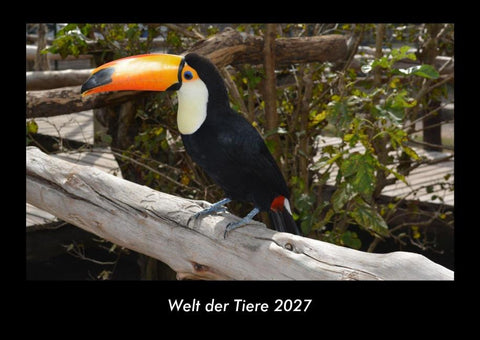 Welt der Tiere 2027 Fotokalender DIN A3